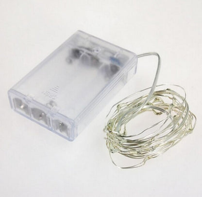 Silver Wire Seed Lights - Warm White 5m